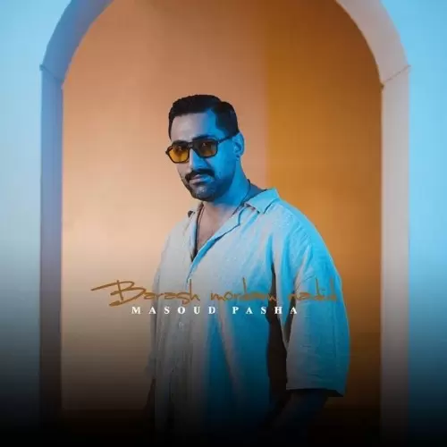 دانلود آهنگ براش مردم ندید از مسعود پاشا | ملودیکده دانلود آهنگ جدید مسعود پاشا به نام براش مردم ندید