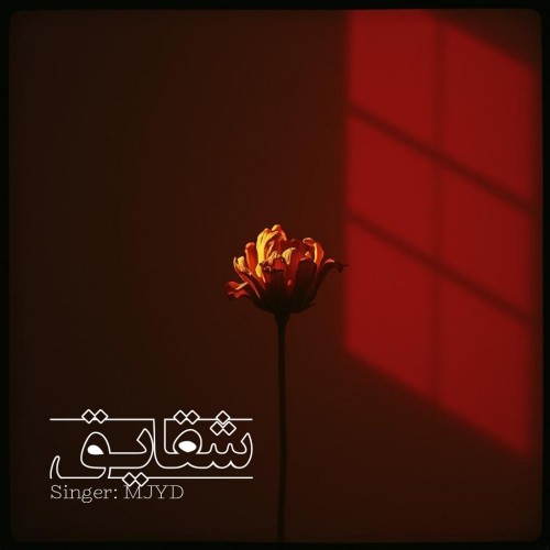 دانلود آهنگ جدید ام جی به نام شقایق