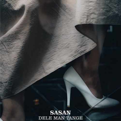 دانلود آهنگ جدید ساسان به نام دل من تنگه