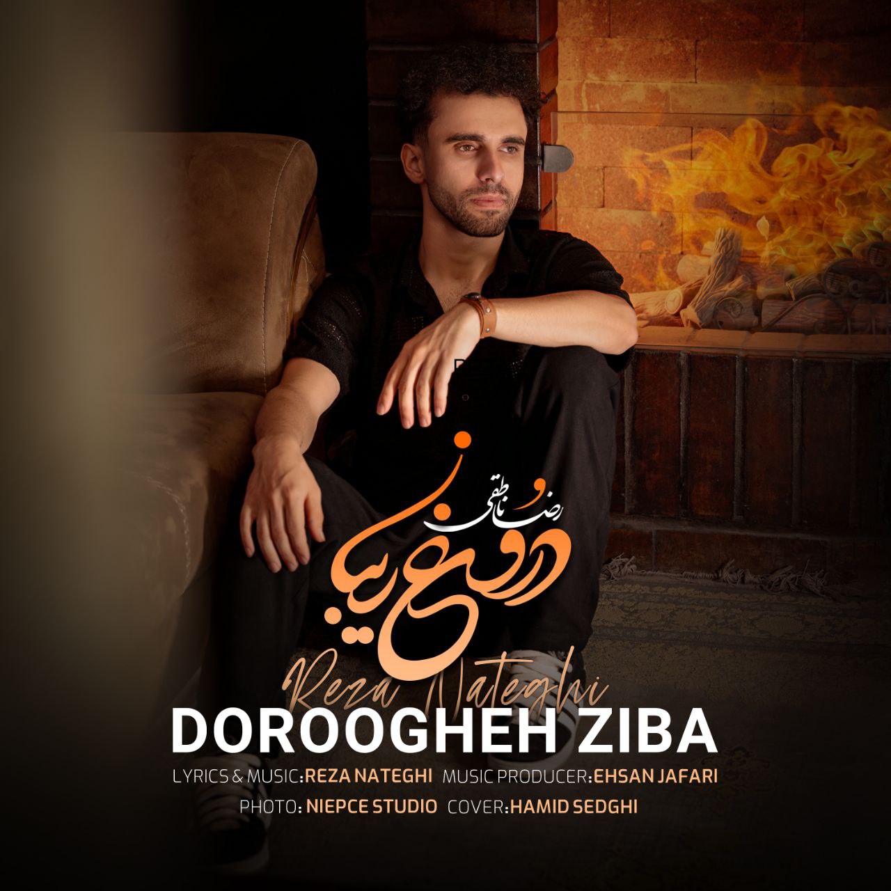 دانلود آهنگ جدید رضا ناطقی به نام دروغ زیبا