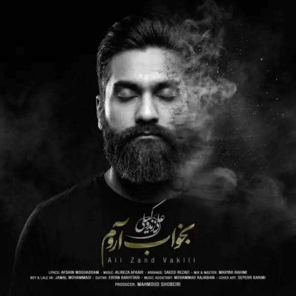 دانلود آهنگ بخواب آروم از علی زندوکیلی | ملودیکده دانلود آهنگ بخواب آروم از علی زندوکیلی