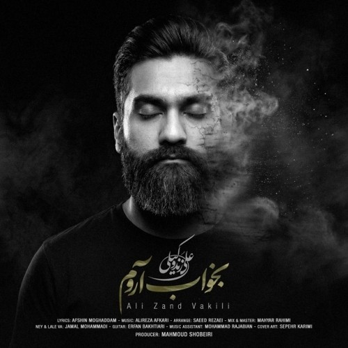 دانلود آهنگ بخواب آروم از علی زند وکیلی | ملودیکده دانلود آهنگ جدید علی زند وکیلی به نام بخواب آروم