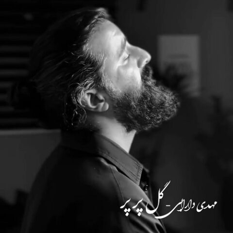 دانلود آهنگ گل پر پر از مهدی دارابی | ملودیکده دانلود آهنگ گل پر پر از مهدی دارابی
