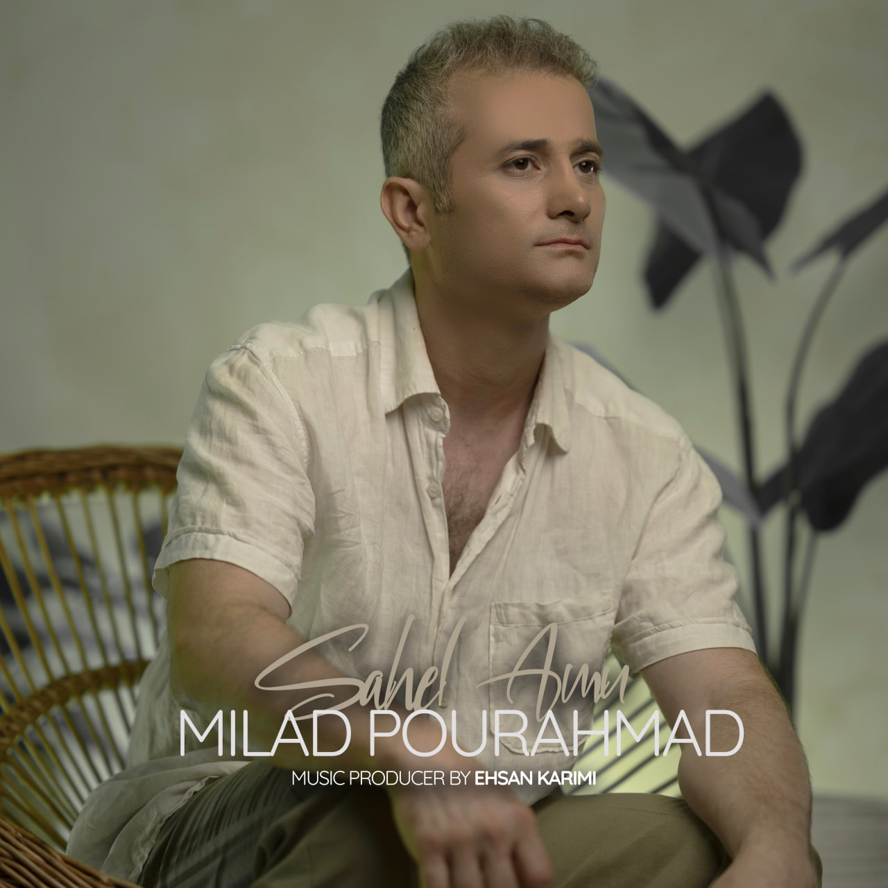 دانلود آهنگ ساحل امن از میلاد پوراحمد | ملودیکده دانلود آهنگ جدید میلاد پوراحمد به نام ساحل امن