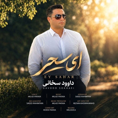 دانلود آهنگ ای سحر از داوود سخائی